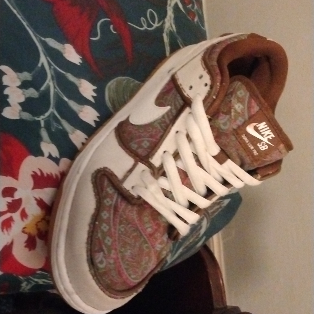 Nike SB Dunk Low Pro Paisley (altered beast)